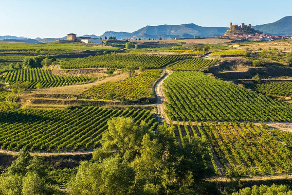 Un Recorrido Sensorial por la Rioja