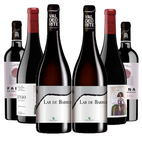 Pack de 6 Vinos Jóvenes + Cata de Vinos Gratis